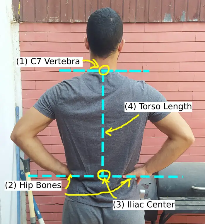 what-s-your-torso-length-by-height-ray-of-alpine