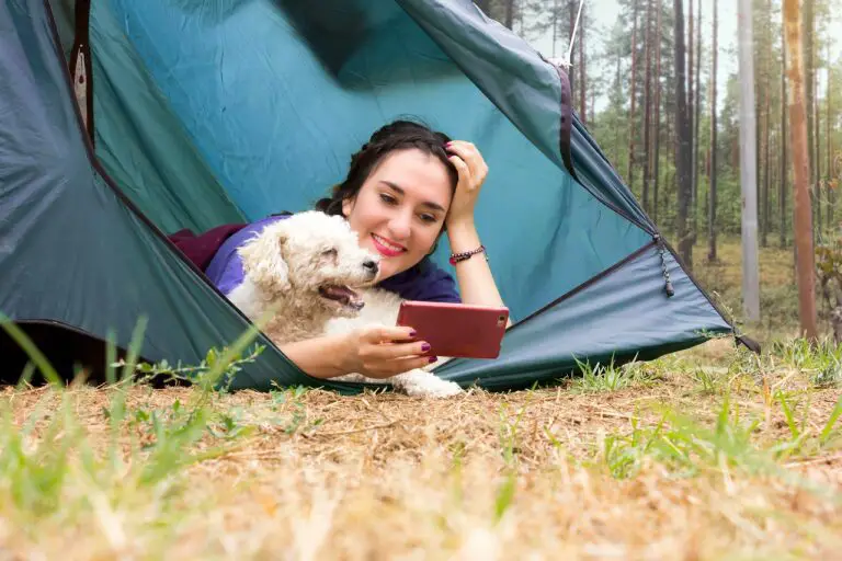 How To Charge Your Phone While Camping